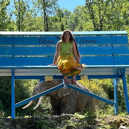 Glamping Castel Dell'aquila