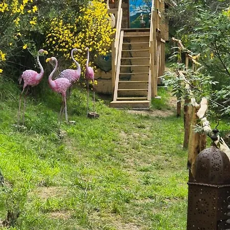 Glamping Castel Dell'aquila Campo de lujo