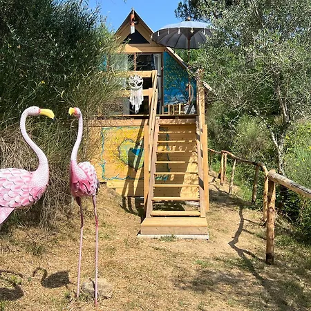 Glamping Castel Dell'aquila Campo de lujo *